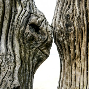 brise lame photographie abstrait pareidolie visage art