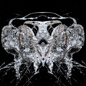 Photographie abstrait art artistique dinard