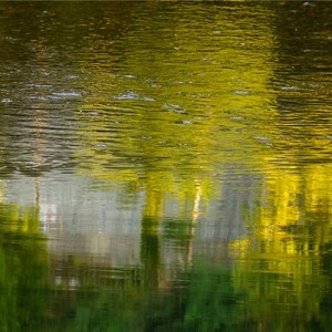 Photographie abstrait paréidolie artistique reflet eau