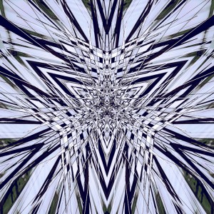 Art fractal photographie photo artistique abstrait original