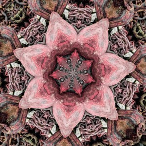 Art fractal photographie photo artistique abstrait original