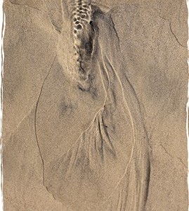 Photographie pareidolie abstrait artistique art sable plage