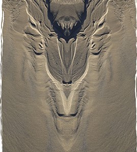 Photographie pareidolie abstrait artistique art sable plage