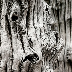 brise lame photographie abstrait pareidolie visage art