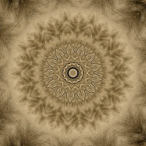 Art fractal photographie photo artistique abstrait original