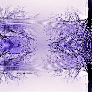 Photographie abstrait paréidolie artistique reflet eau