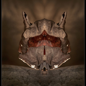 Photographie abstrait artistique transmigratio