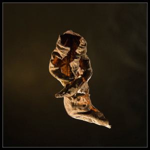 Photographie abstrait artistique transmigratio