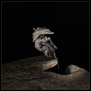 Photographie abstrait artistique transmigration