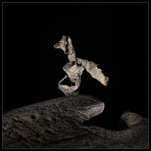 Photographie abstrait artistique transmigratio